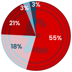 Pie chart with a pound coin graphic visible over the top, showing the percentages given in the paragraph above. 