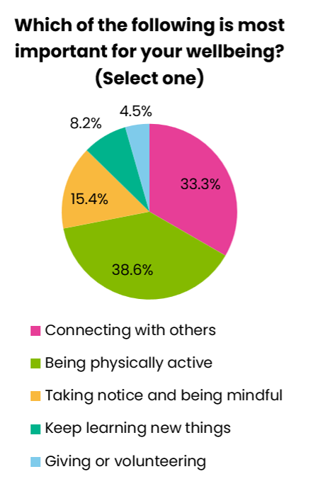 Pie chart showing responses to the question 'which of the following is most important for your wellbeing?'. 38.6% said being physically active, 33.3% said connecting with others, 15.4% answered taking notice and being mindful, 8.2% chose learning new things, and 4.5% said giving or volunteering. 