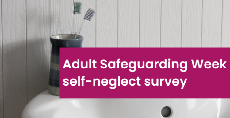 A desaturated photograph of two toothbrushes in a striped pot on the side of a sink. Over the image is a pink text box which says 'Adult Safeguarding Week self-neglect survey'. 