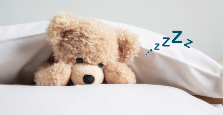 a teddy bear tucked under a duvet to sleep